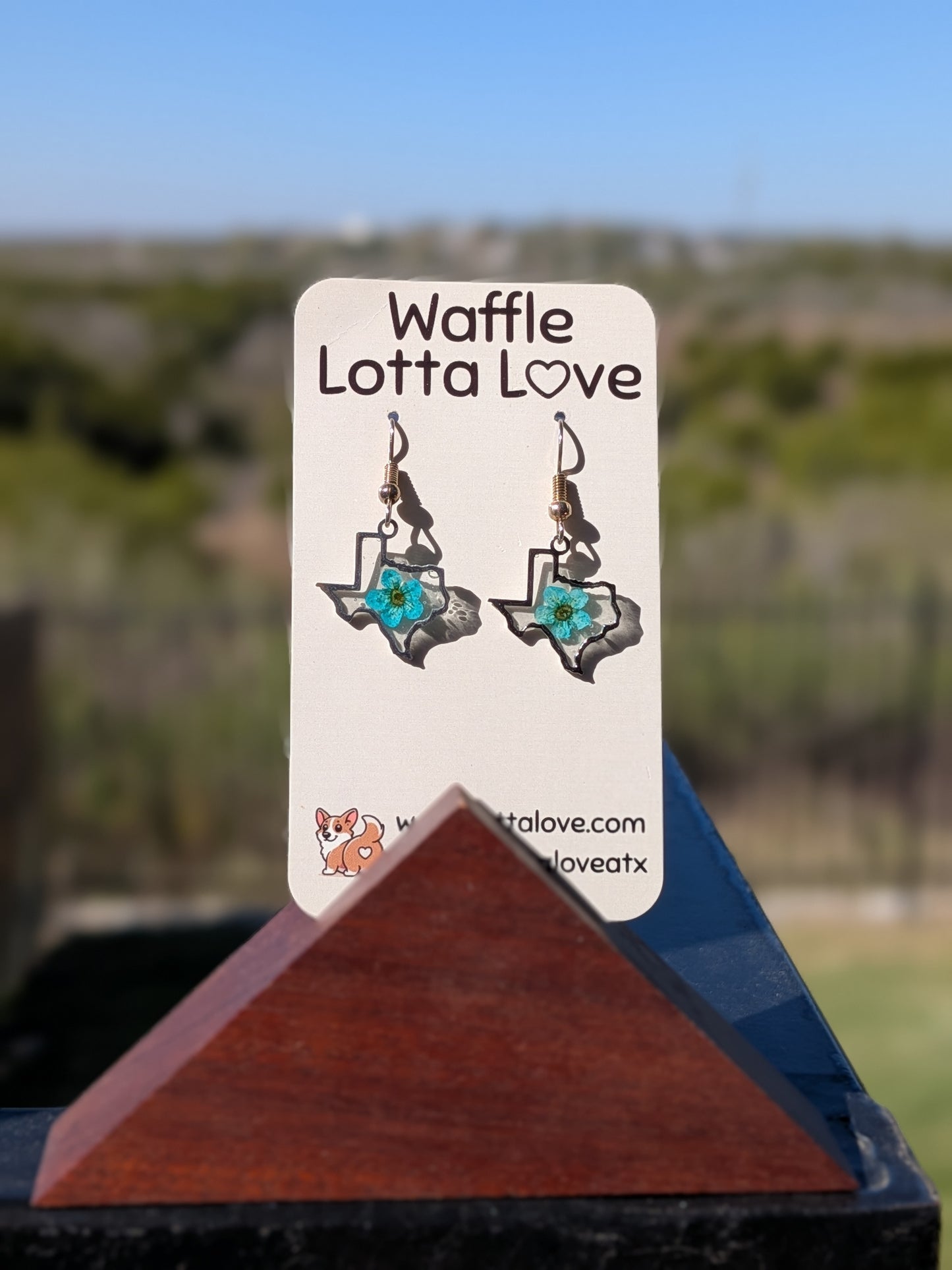 Silver Texas Forget-Me-Not Earrings