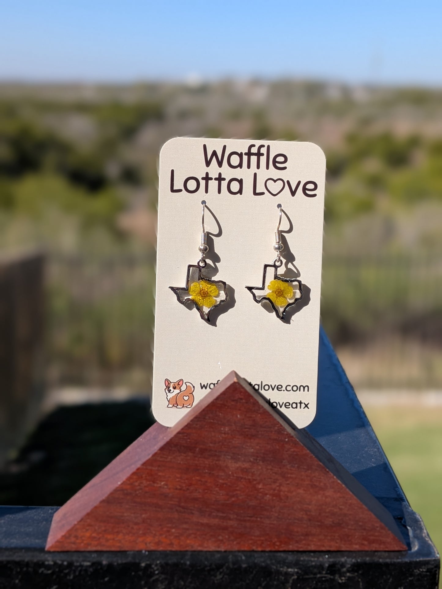 Silver Texas Forget-Me-Not Earrings