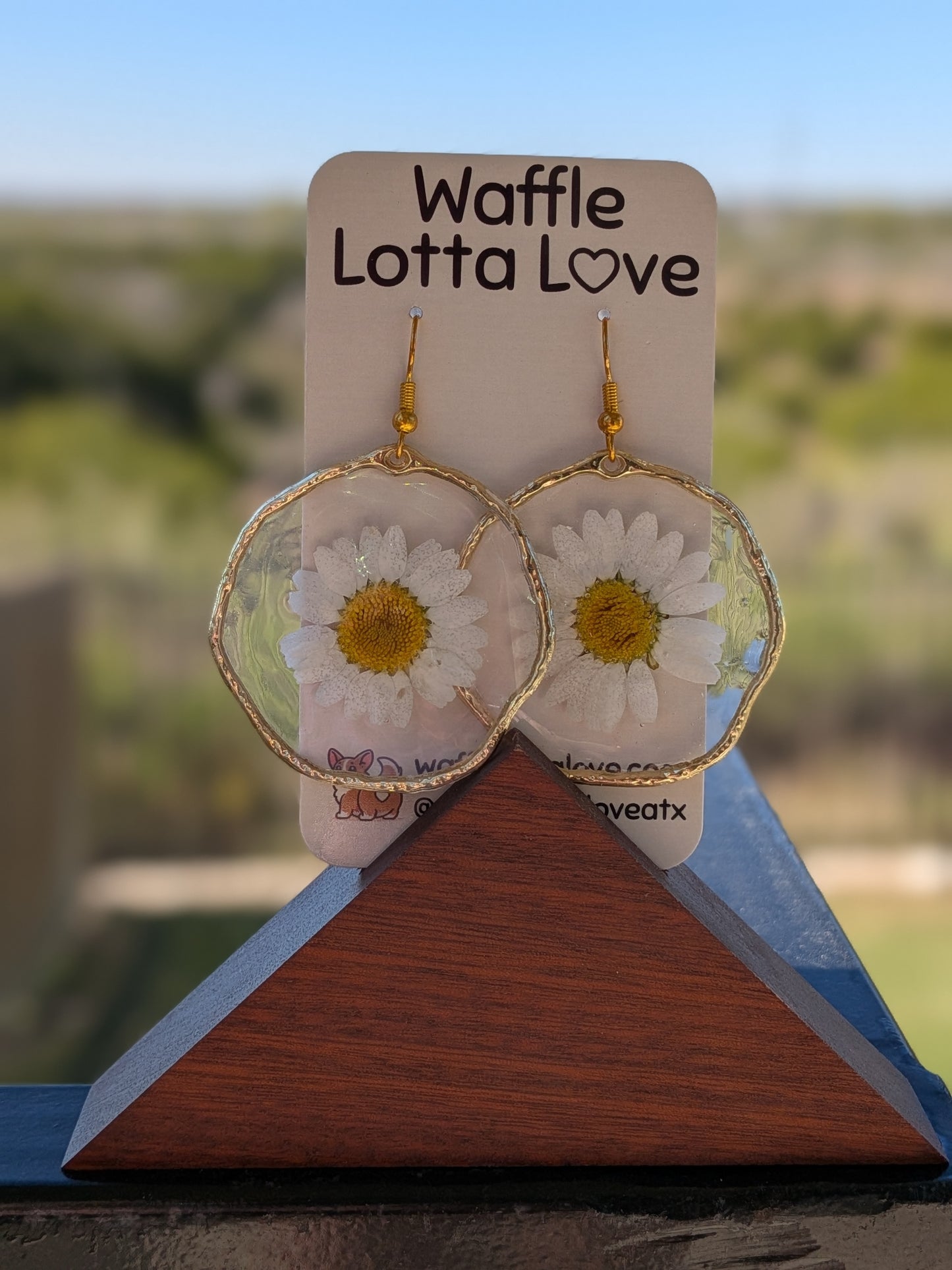 Golden Daisy Hoops