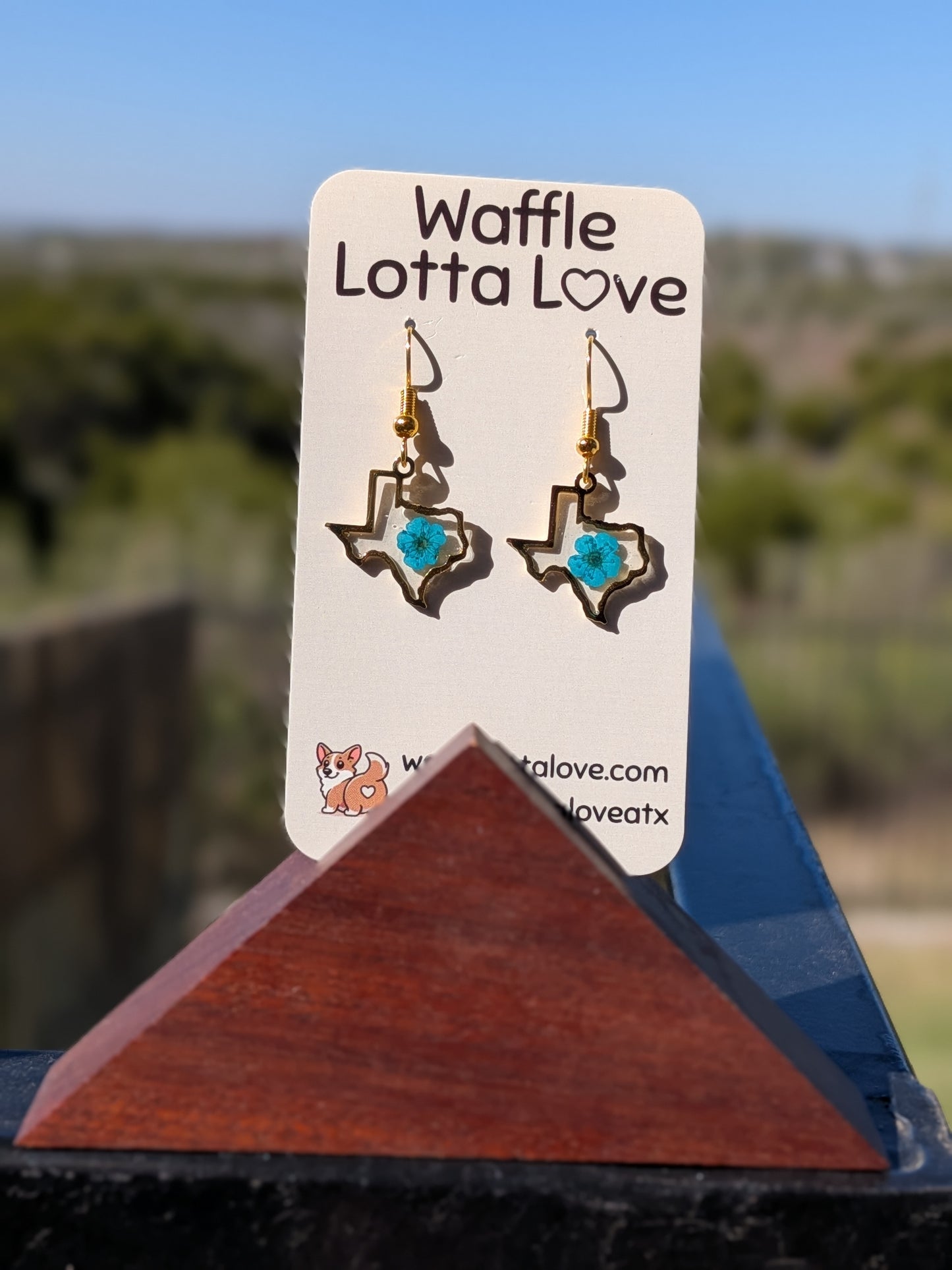 Golden Texas Forget-Me-Not Earrings