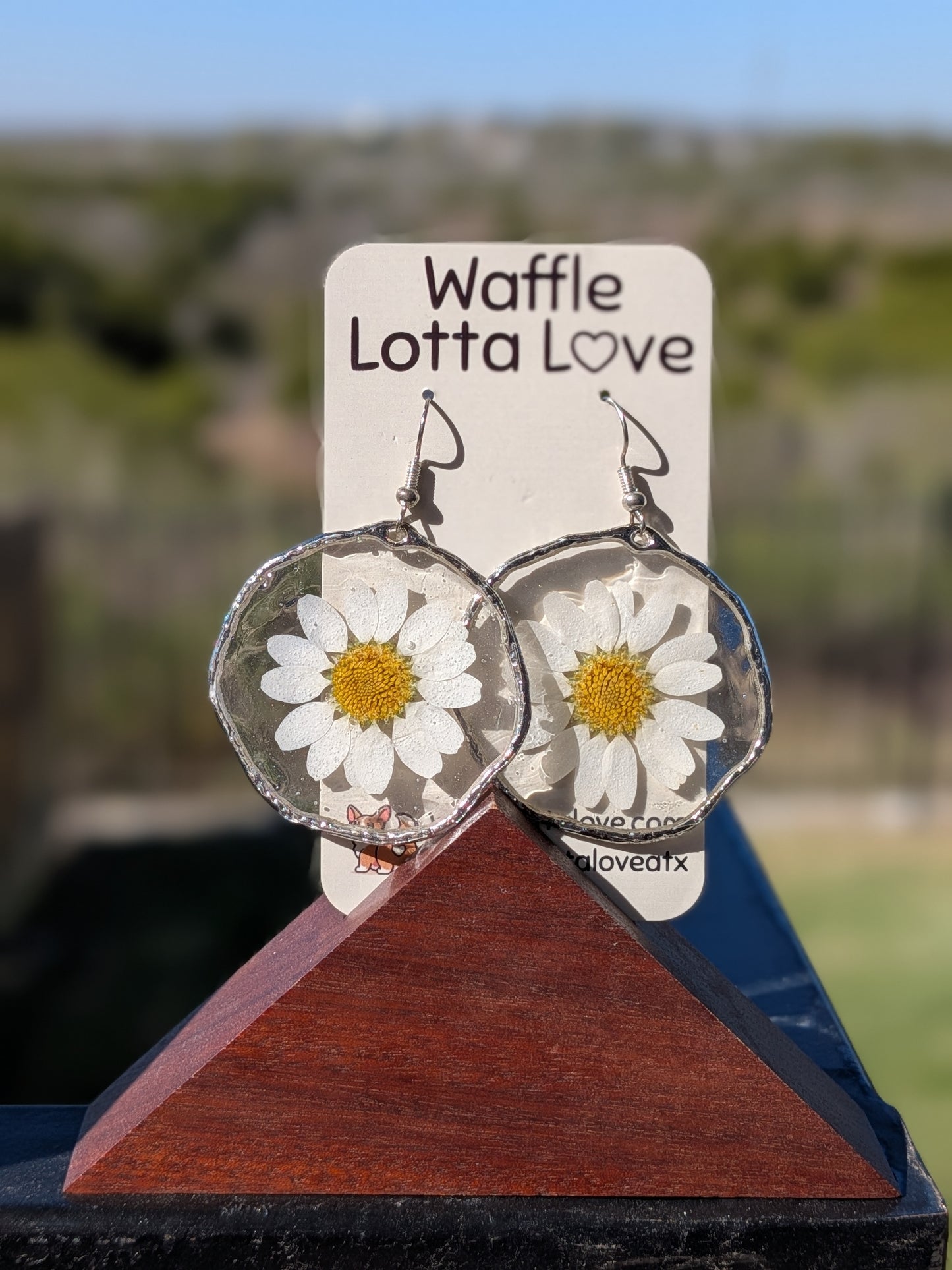 Silver Daisy Hoops